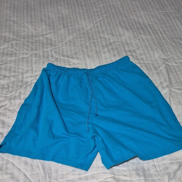 Hanes Men's Vibrant Blue Athletic Shorts - Picture 1 of 3